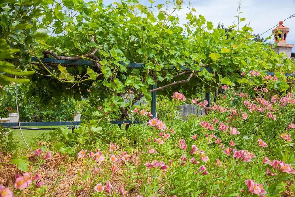 Εξοχικό σπίτι Country Home Il Passatempo Ντιάνο Μαρίνα